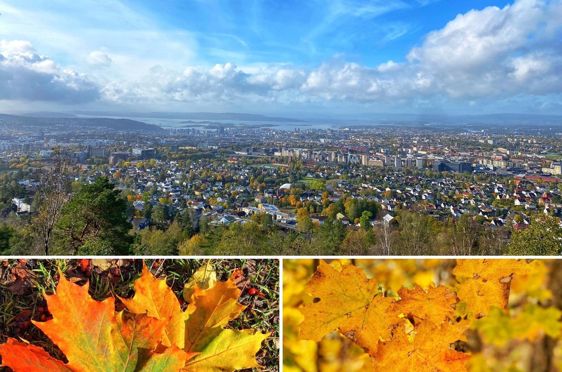 Oslo i høstfarger.