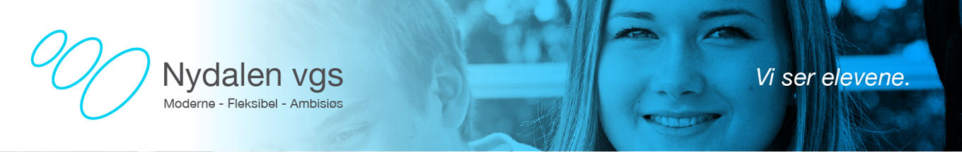 Foto: Logo blå logo